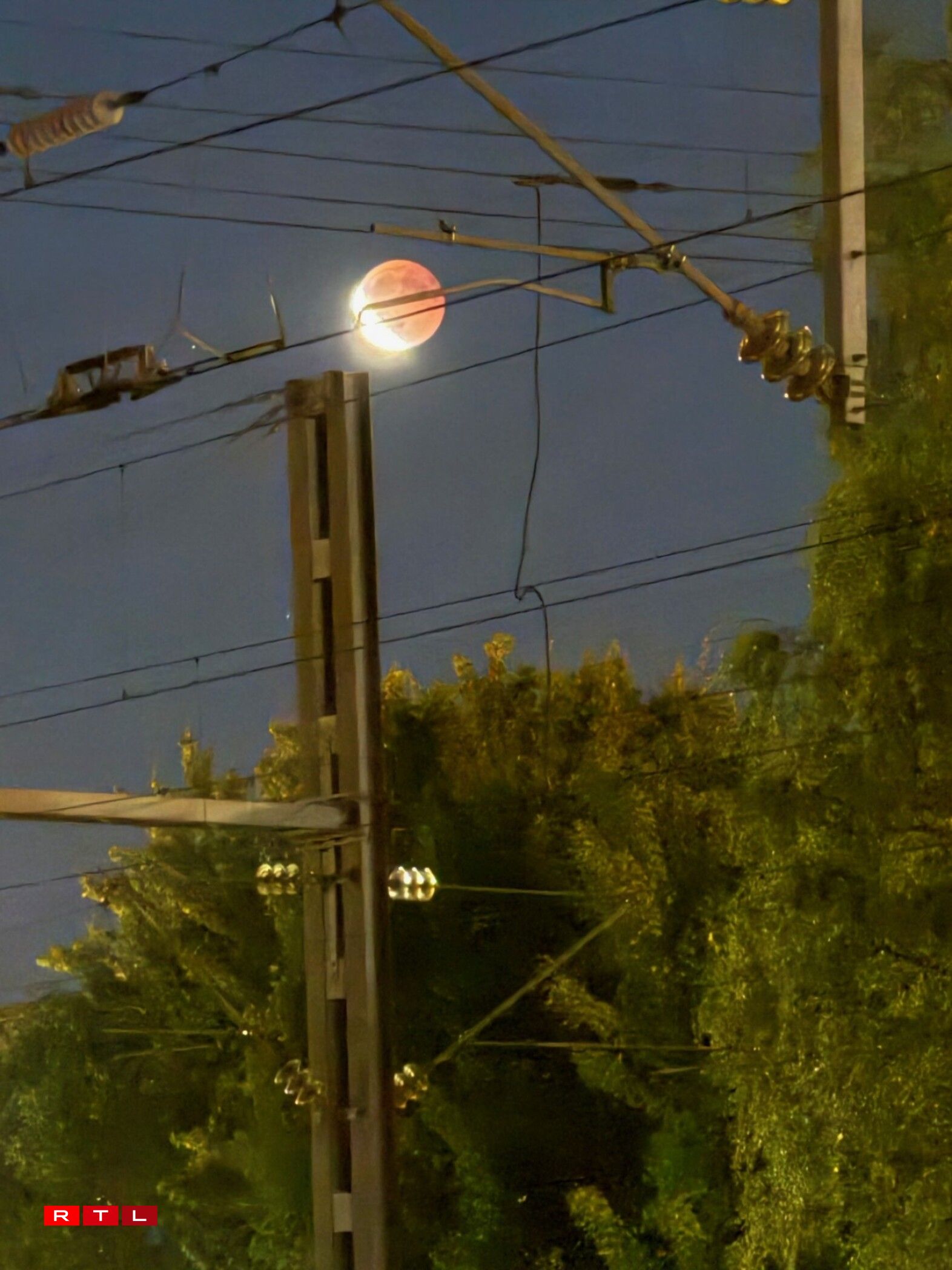 Zu Péiteng/Bruna Rodrigues