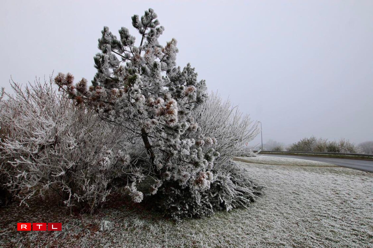 Une photo prise à Heiderscheid