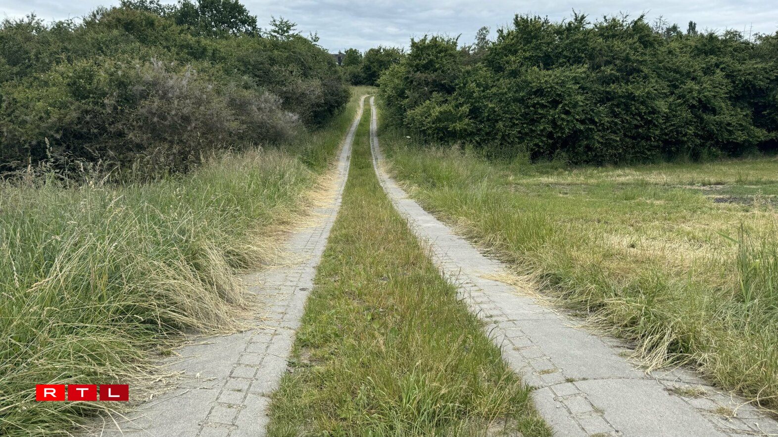 Amplaz Feldweeër ganz zou ze betonéieren, setzt de SIAS dorop, nëmmen zwou Sträifen ze bauen. Esou kann d'Waasser besser oflafen an et kënne méi Planzen a Wiss dotëscht wuessen.