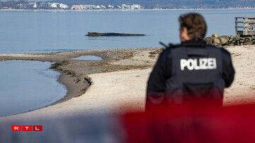 Un der Ostséiküst a Schleswig-Holstein gouf den 23. Mäerz 2026 e Wal virun Niendorf ugespullt.