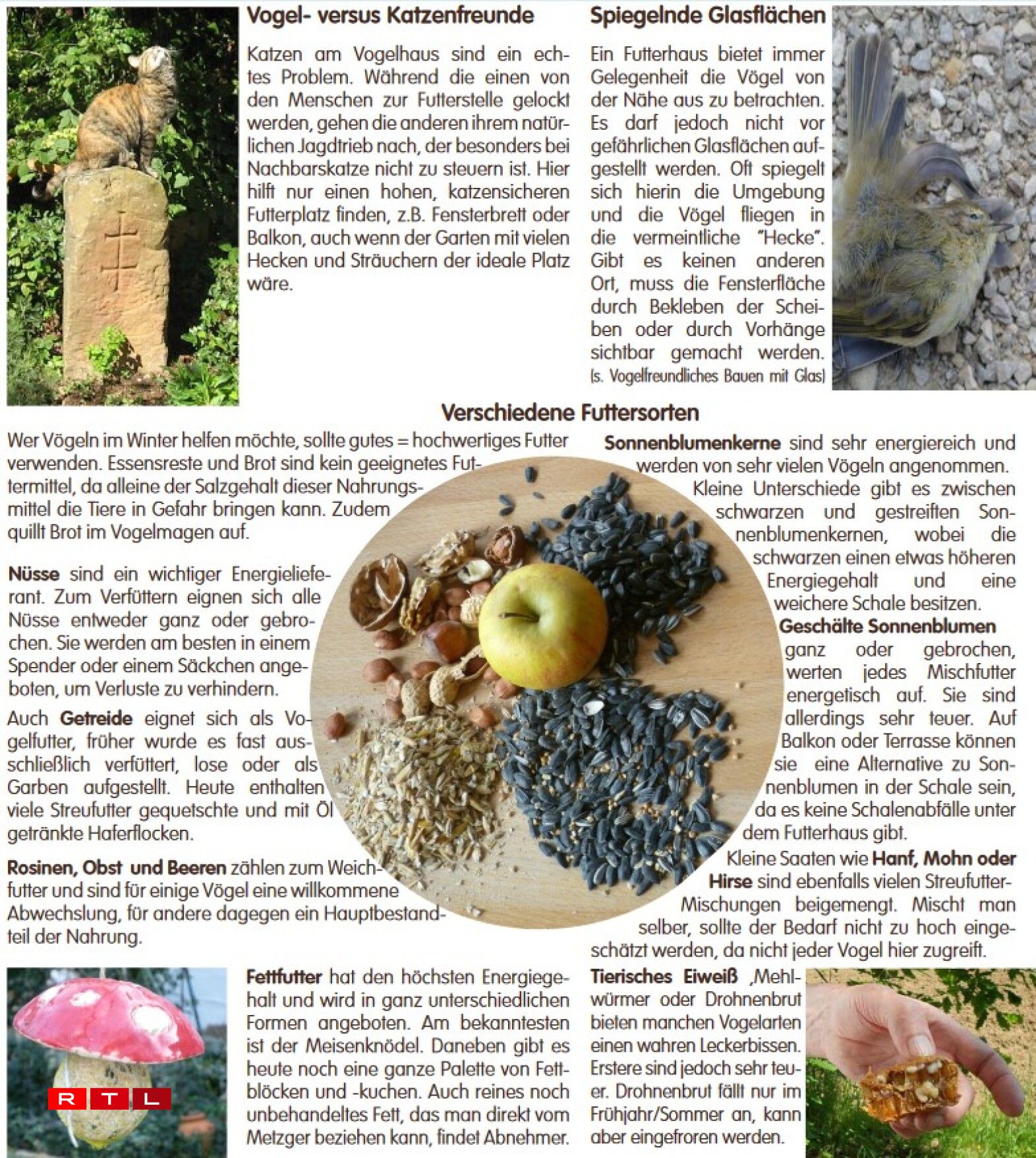 Verschidden Zorte Fudder