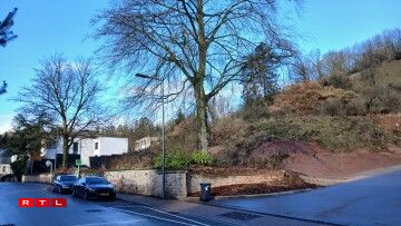 De Sichtschutz un der Grenz zum Nopeschgrondstéck ass deels an e Koup gefall.