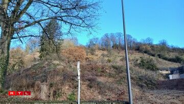 Mëttlerweil ass de Site, op deem d'Annexe vun der Primärschoul entstoe soll, zimmlech gréng.