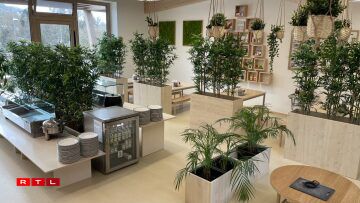 Esou huet d'Maison Relais virdrun ausgesinn.