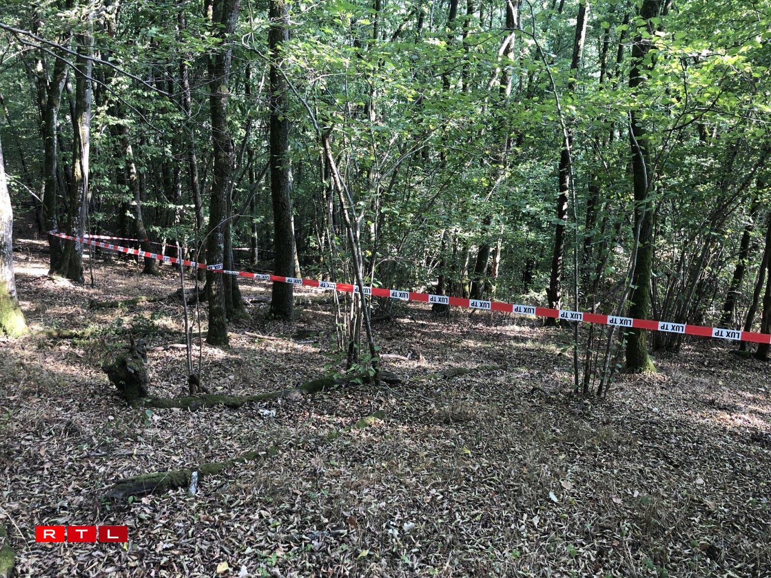 E Sécherheetsperimeter gouf an Deeler vum Bësch ronderëm den Tunnel opgeriicht.