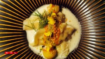 Langoustine dumplings with kimchi cabbage, green pepper, verbena, pear, and dill.