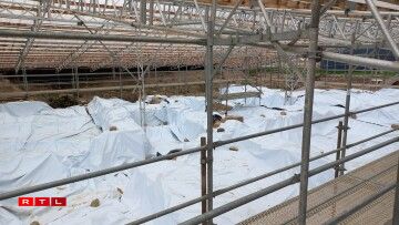 Hotel Commerce Petite Marquise Iechternach