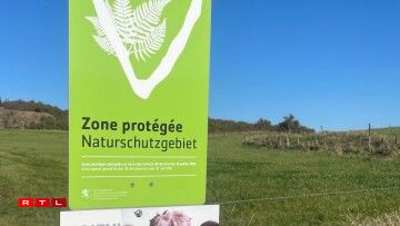 380.000 Volt Leitung géif en nationaalt Naturschutzgebitt impaktéieren.