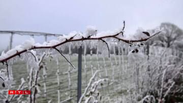 Une photo prise à Schumans Eck