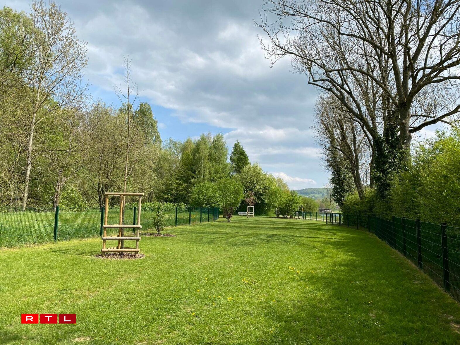 Hondswiss 2 zu Miersch