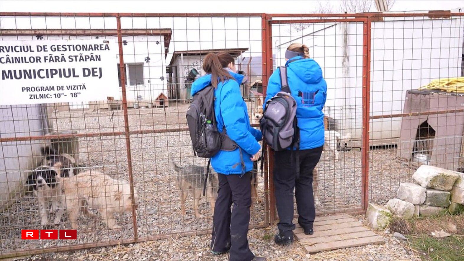 Am ëffentleche Shelter zu Dej gi schonn zanter 17 Joer keng Hënn méi doutgemaach, dofir hu sech lokal Déiereschützer staark gemaach.