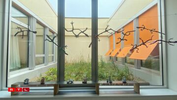 Wierker vum Konscht Departement vum Athenée de Luxembourg.