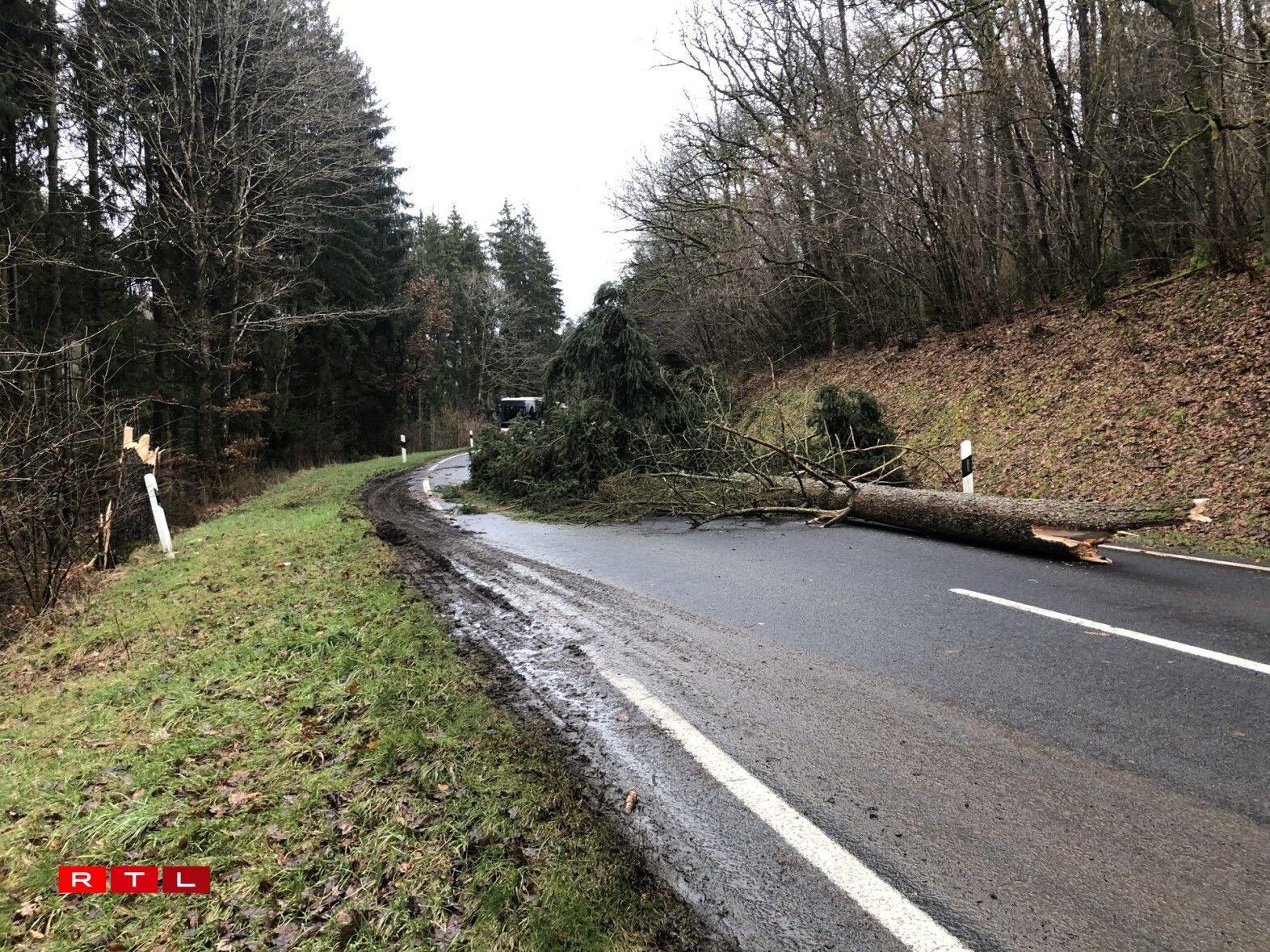 Um Hareler Poteau ass ee Bam ëmgefall.
