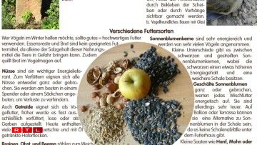 Verschidden Zorte Fudder