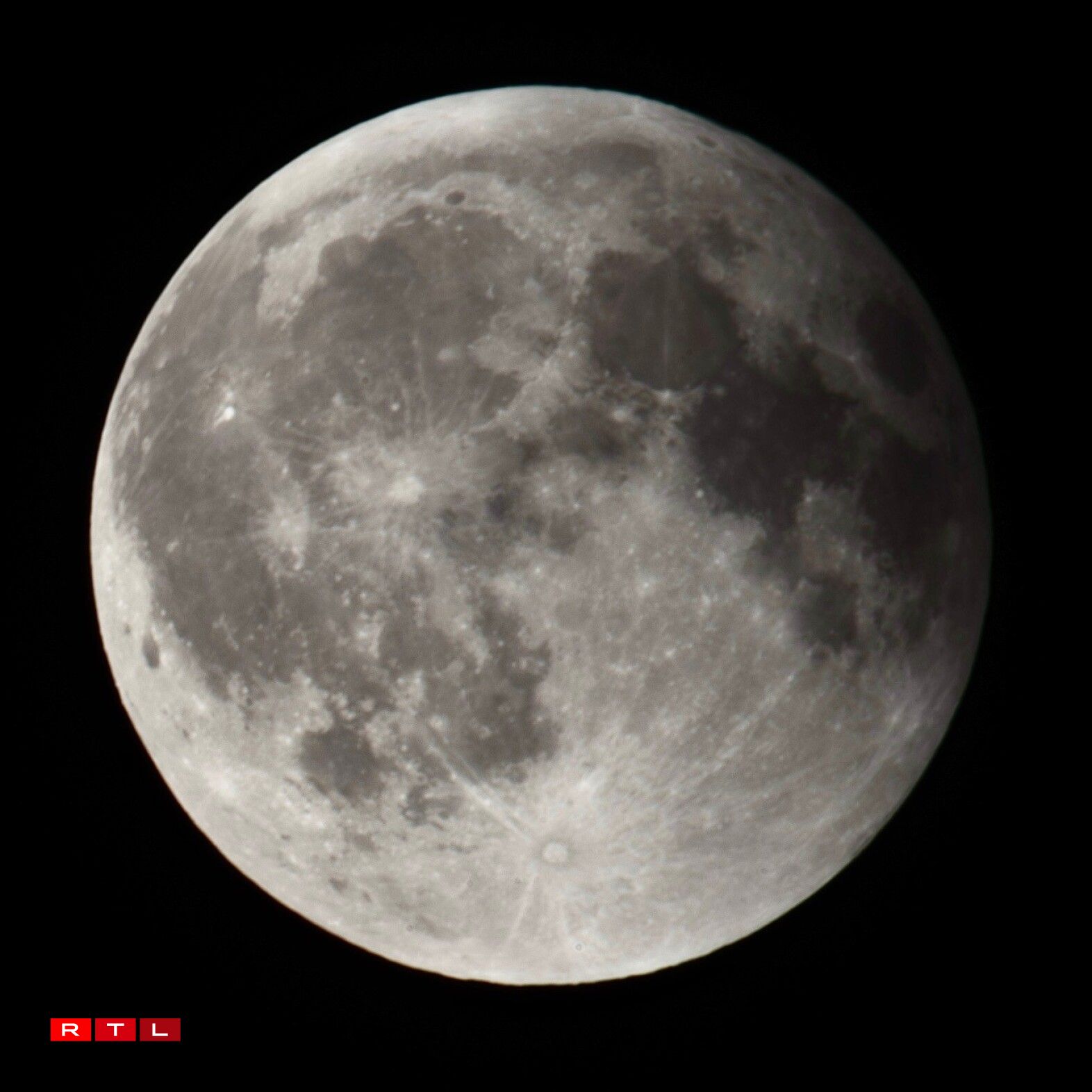 Alyssa Lichtenberger.