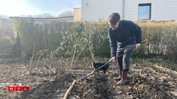 While she is working, her neighbors' cats always join her, Raymonde says.