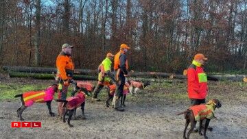 Dreiwer mat hiren Hënn