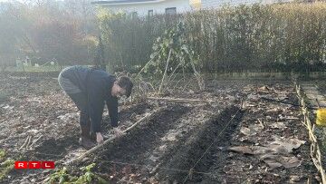 Raymonde comes to the garden daily, even when it rains.