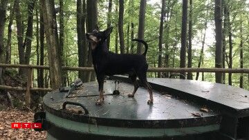 First gnome of the day?