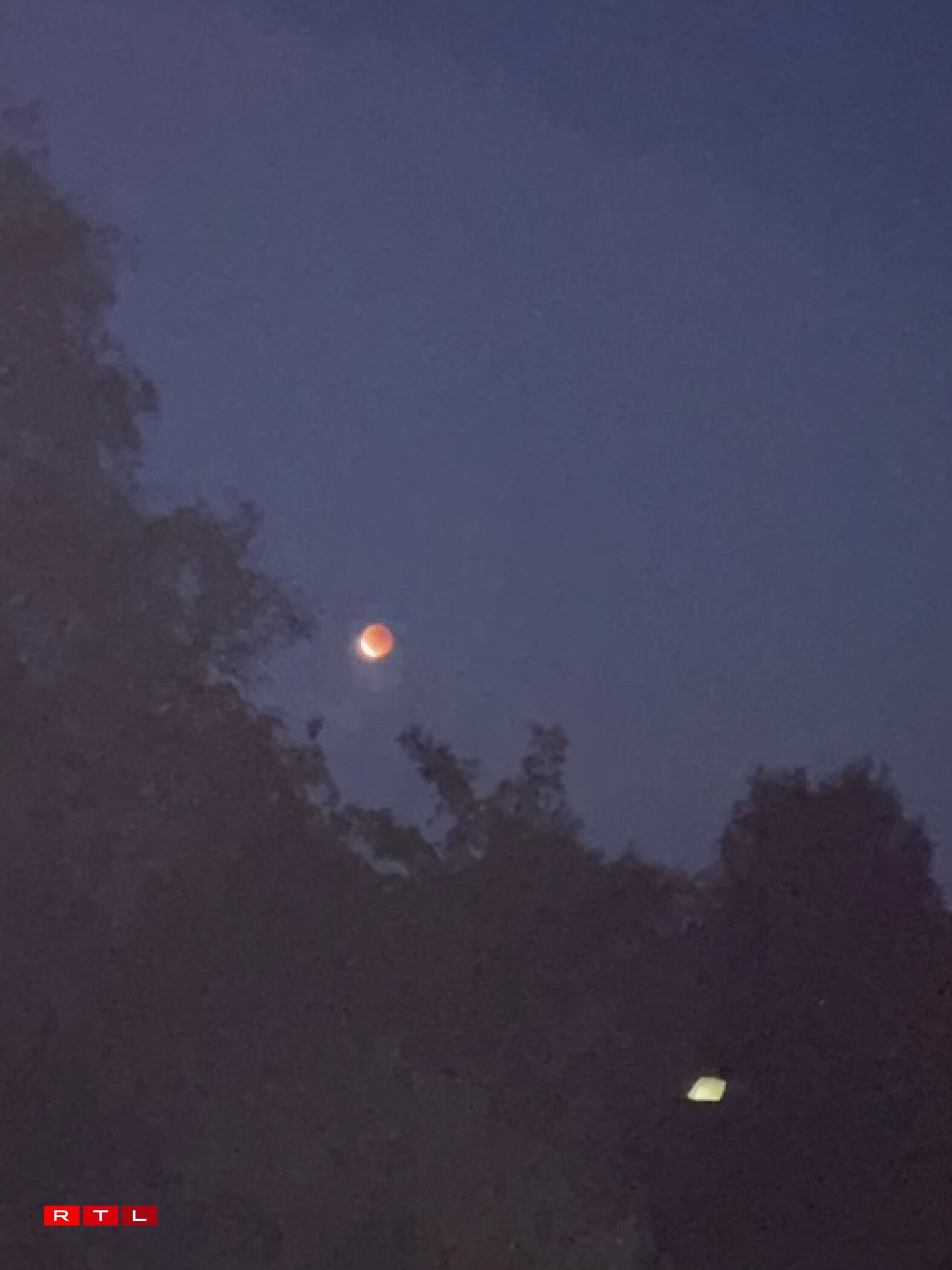 Zu Holztem mat engem iPhone16/Patty Boon