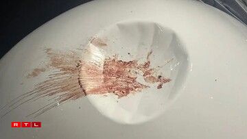 Des illustrations d'impact d'oiseaux, publié par le PDG de la compagnie Latam Brasil sur son compte Linkedin.