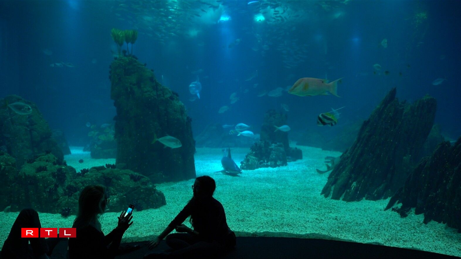 Oceanário de Lisboa