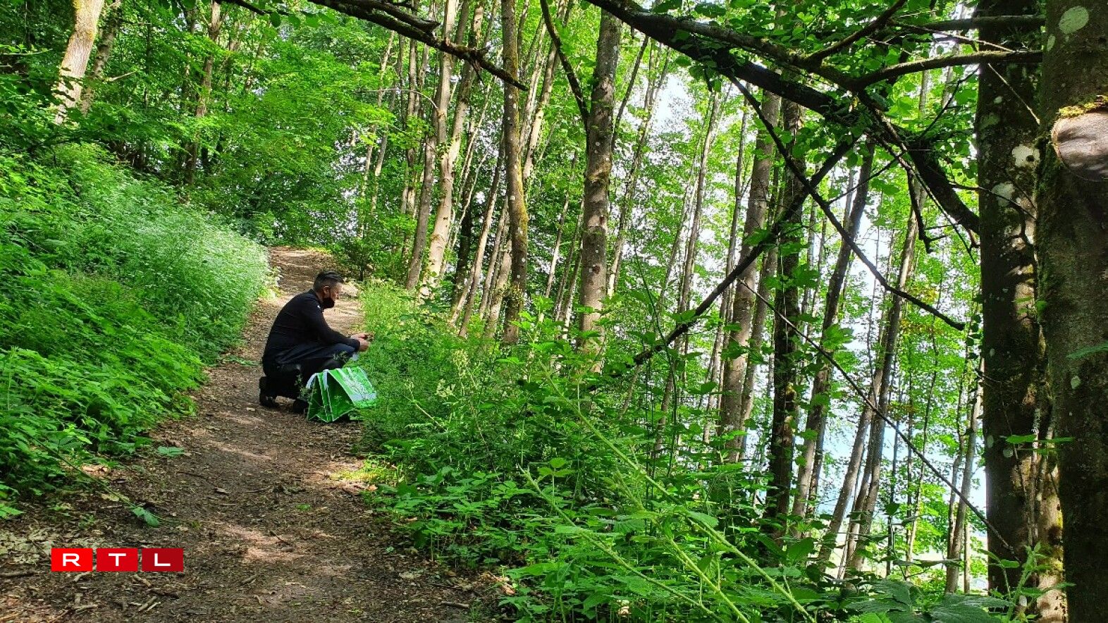 Vous ne voyez que du vert? René Mathieu, lui, voit de délicieuses plantes comestibles.