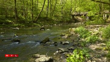 Centre nature et forêt A Wiewesch