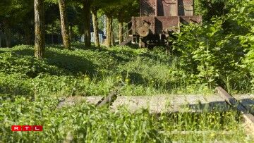 Centre nature et forêt Mirador