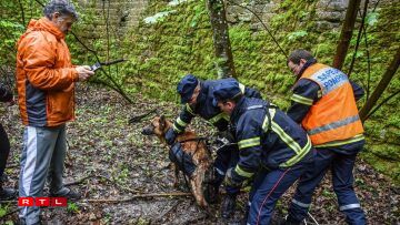 Plus de peur que de mal pour le meilleur ami de l'Homme, qui s'en tire sain et sauf.