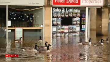 Geese take advantage of the conditions as floodwater fills the streets of Hebden Bridge, northern England, on February 9, 2020, as Storm Ciara swept over the country. Britain and Ireland hunkered down Sunday for a powerful storm expected to disrupt air, rail and sea links, cancel sports events, cut electrical power and damage property. With howling winds and driving rain, forecasters said Ciara would also hit France, Belgium, the Netherlands, Switzerland and Germany.