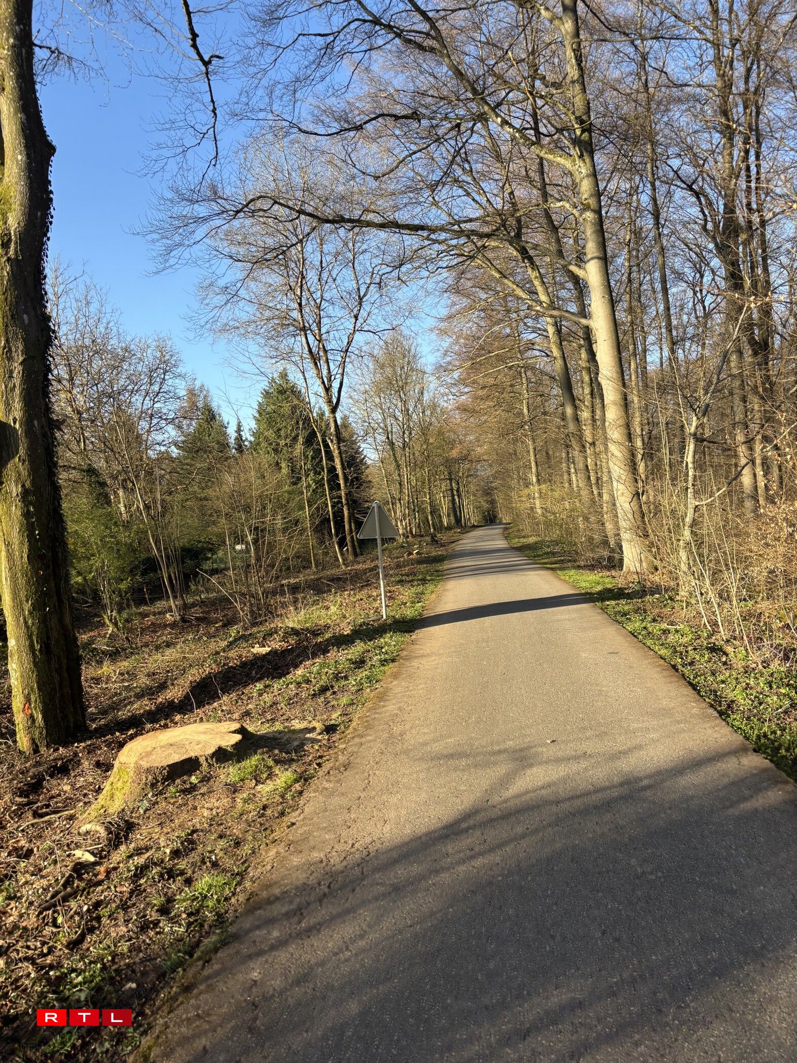 Lénks mat manner Beem, awer nach ëmmer mat Natur-Feeling: den Ufank vum Vëloswee um Sennergerbierg um fréien Donneschdegmoien (2. Abrëll).