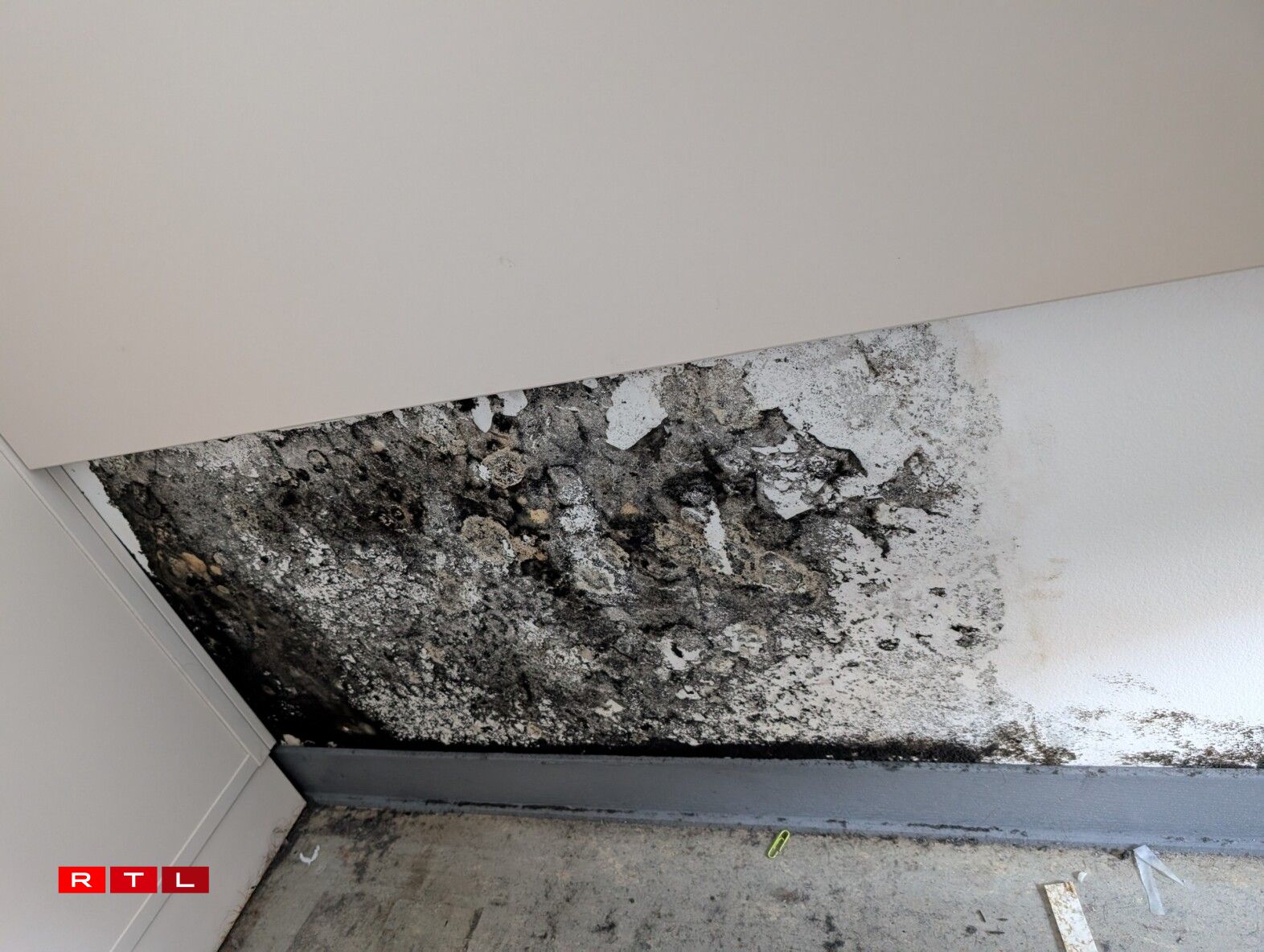 Schimmel an enger vun de Wunnengen.