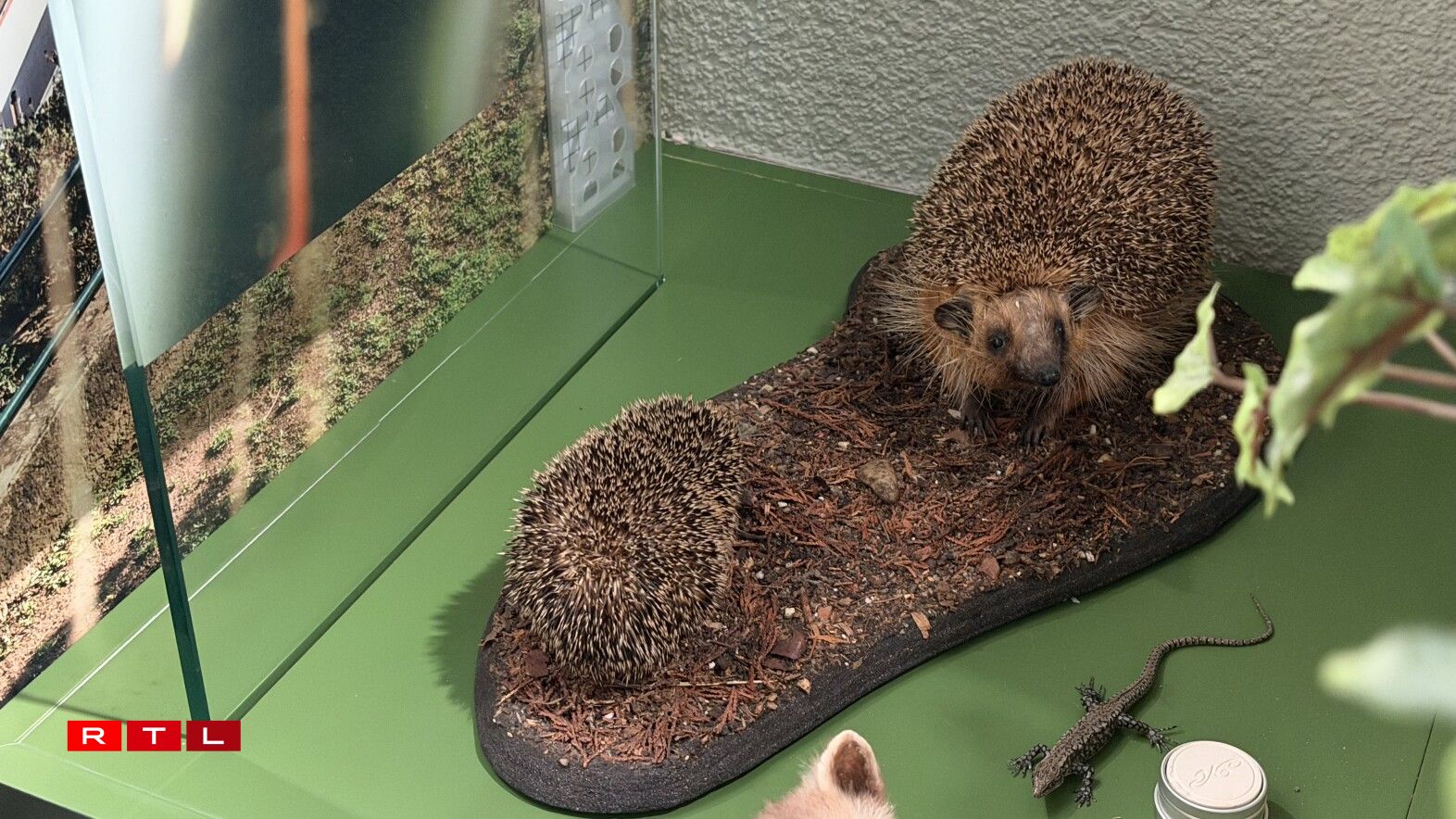 Hei stoung den drëtten, klenge Kéiseker, éier dëse geklaut gouf.