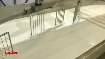 Le lait pasteurisé est mis dans une grande cuve avec de la présure.