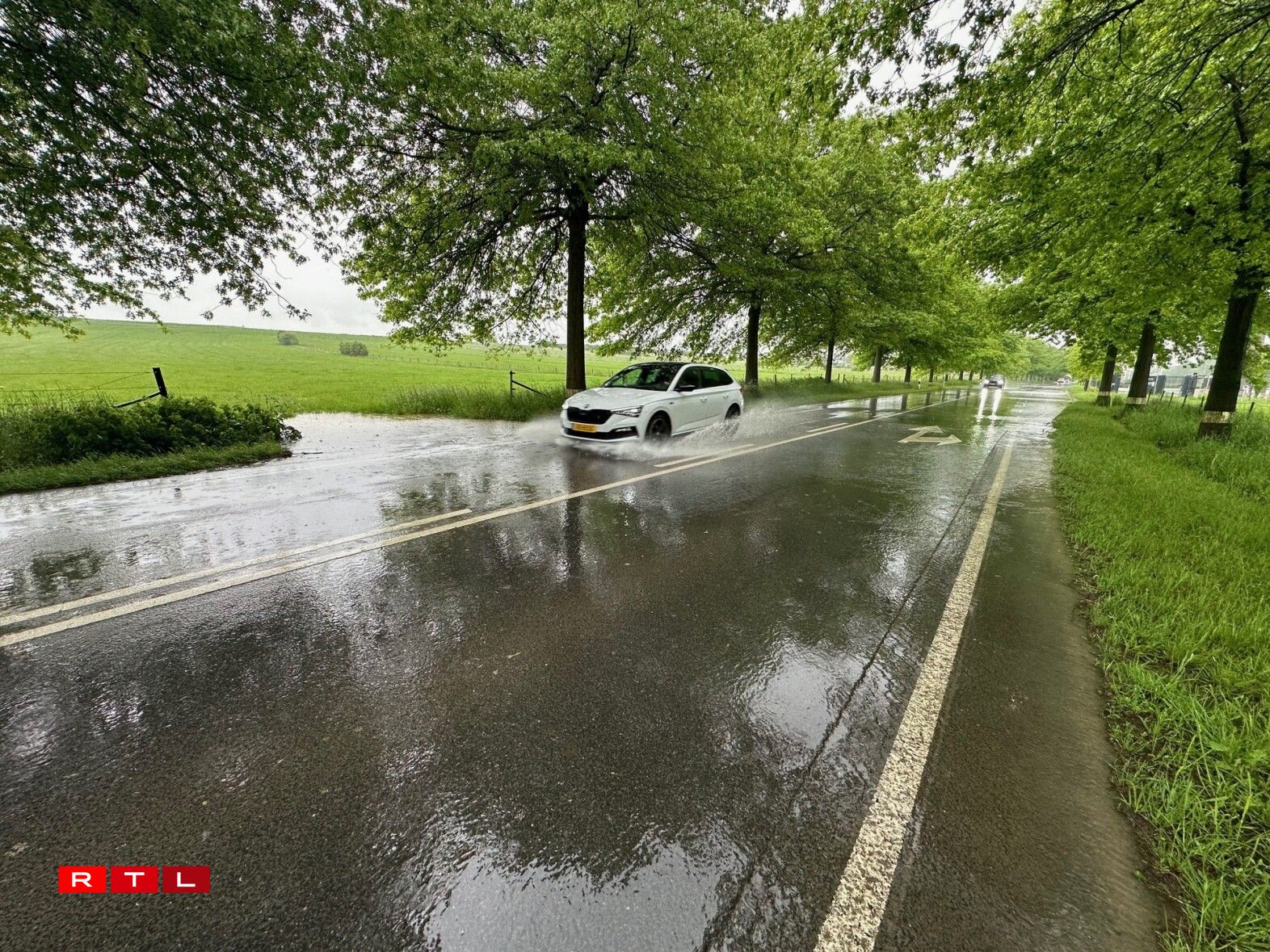 L'Allée de la jeunesse sacrifiée à Hesperange.