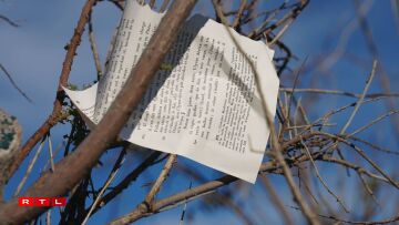 Left to their own fate