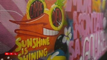 Positive slogans and strong colours are Sumo's trademark.