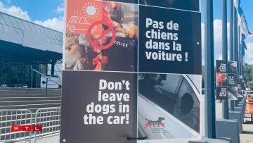 Affichen erënneren drun, dass keen Déier dierf am Auto gelooss ginn, an dass, wann néideg, d'Police geruff gëtt.