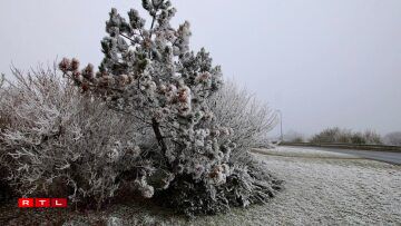 Une photo prise à Heiderscheid