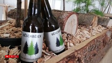 © Lëtzebuerger Privatbësch