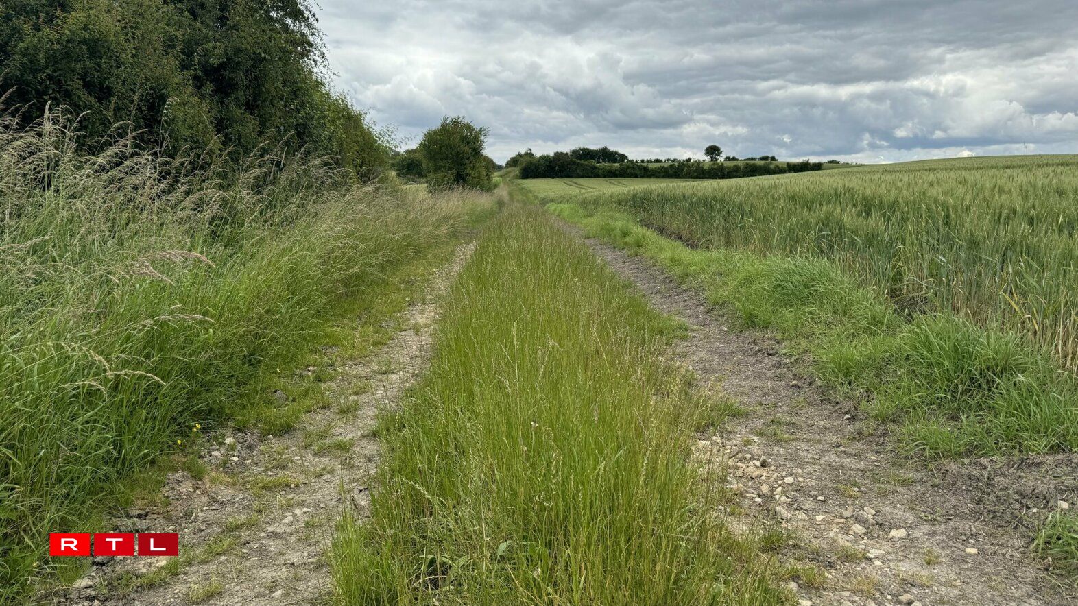 Op Felderweeër, déi virun allem vu Bauere genotzt ginn, gëtt d'Gréngs gären emol méi laang stoe gelooss.