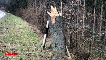 Um Hareler Poteau ass ee Bam ëmgefall.