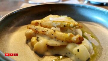 De Raphaël Arcidiacono aux équipes en cuisine et en salle, l'Ultimo mise sur la continuité : plats de saison autour de l'asperge, viandes maturées, cave à vins et cuisine aux influences franco-italiennes marquent ce retour aux sources.