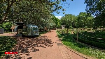 Au Gaalgebierg, les Francofolies sont organisées dans un cadre idyllique, très vert, avec de nombreux espaces ombragés.
