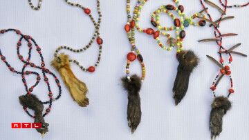 Des membres de primates...