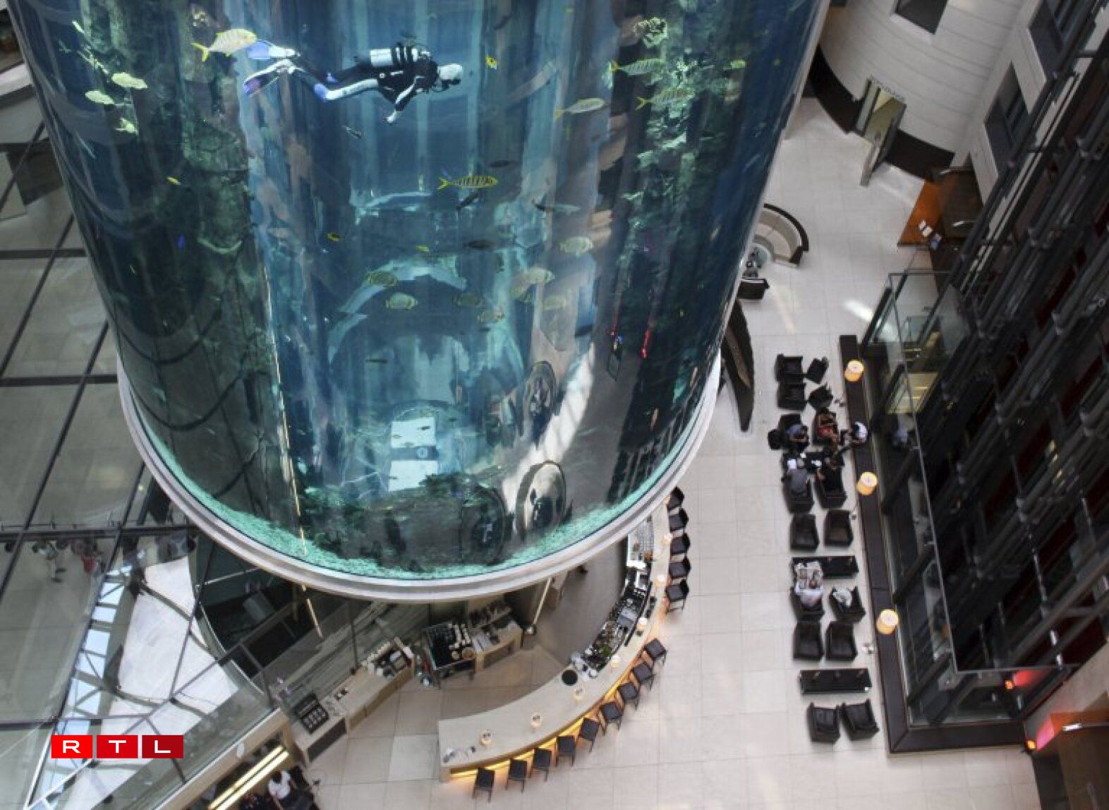 L'aquarium était l'attraction phare de l'hôtel.