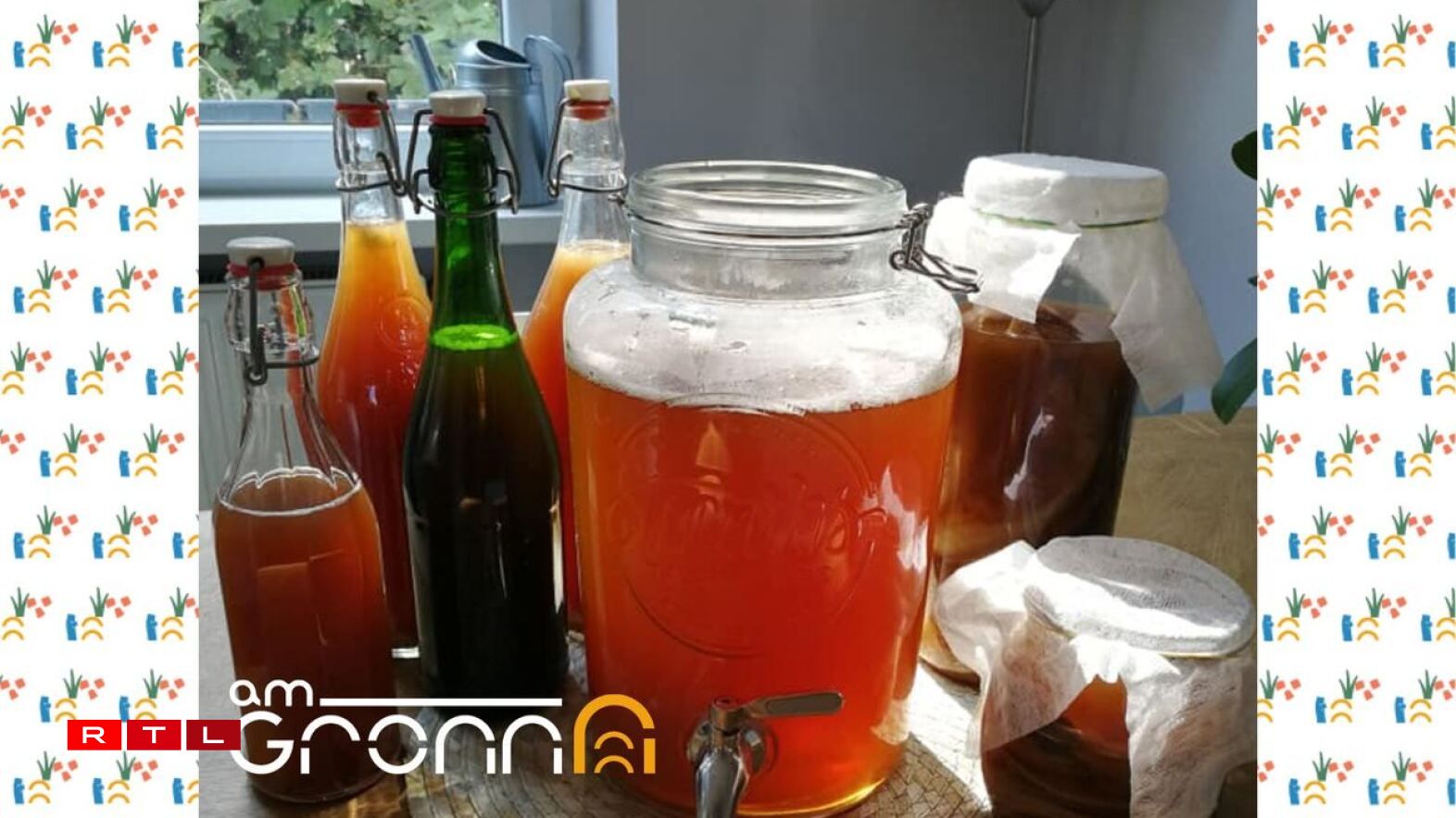 Kombucha brewing workshop