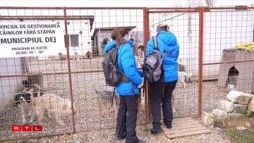 Am ëffentleche Shelter zu Dej gi schonn zanter 17 Joer keng Hënn méi doutgemaach, dofir hu sech lokal Déiereschützer staark gemaach.