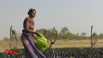 Eng Fra këmmert sech ëm nei Beem am Sambia, mat deenen d'Ëmwelt nees e Stéck wäit soll restauréiert ginn.